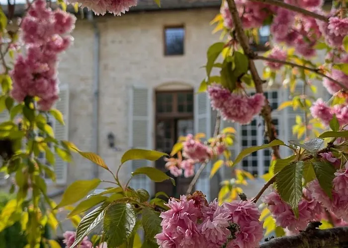 Le Val Du Roy Joinville